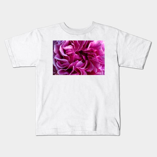 Rose petals Kids T-Shirt by avrilharris